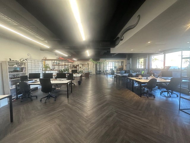 To Let commercial Property for Rent in Zonnebloem Western Cape